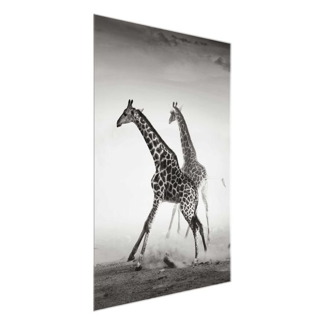 Obrazy żyrafa Polowanie na żyrafę