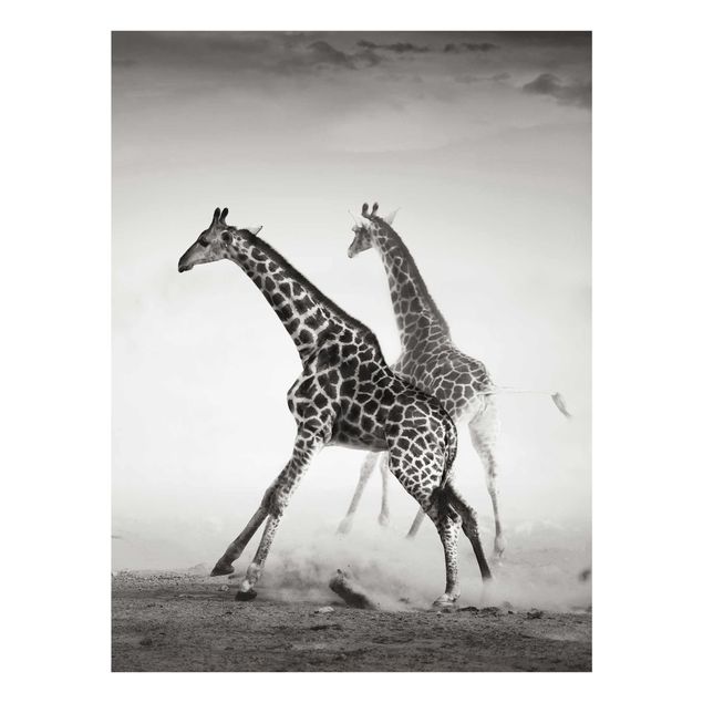 Obrazy na szkle zwierzęta Polowanie na żyrafę