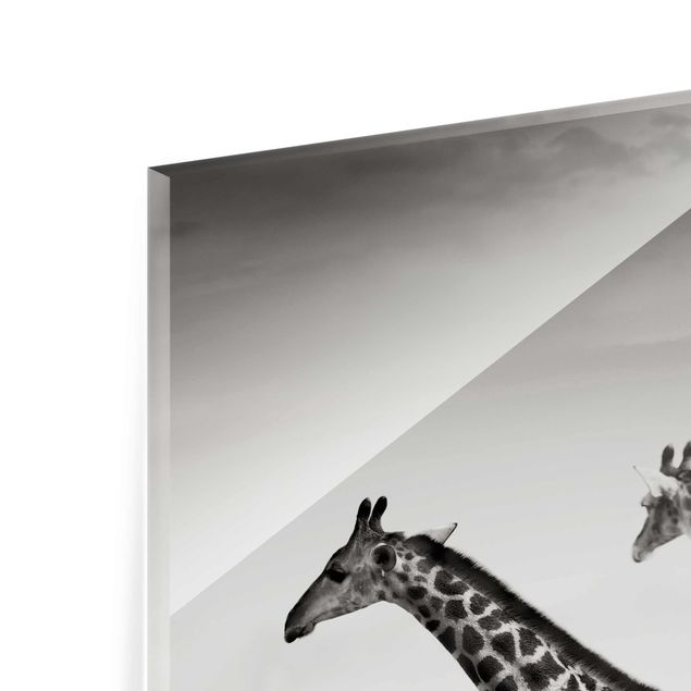 Obrazy ze zwierzętami Polowanie na żyrafę