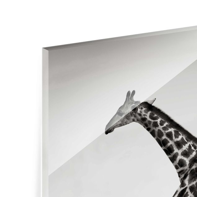 Obrazki czarno białe Polowanie na żyrafę