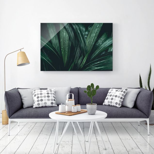 Obrazy na szkle poziomy Zielone liście palmy