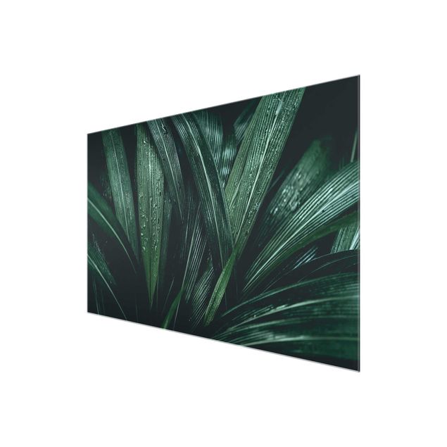 Obrazy motywy kwiatowe Zielone liście palmy