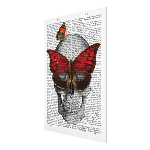 Obrazy do salonu Ciekawe czytanie - Maska motyla