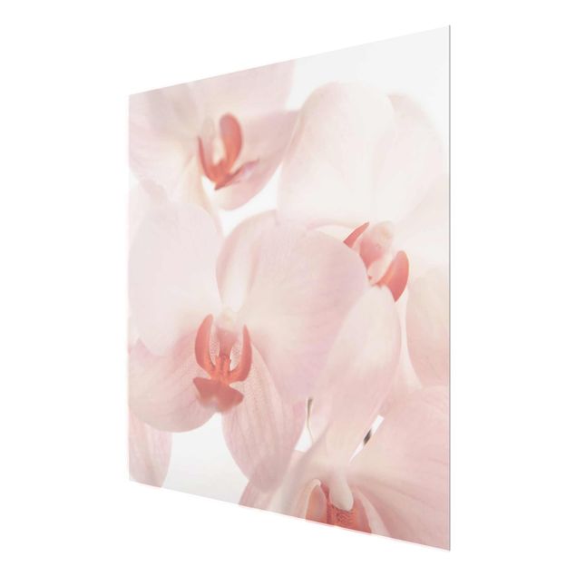 Nowoczesne obrazy Bright Orchid - Svelte Orchids