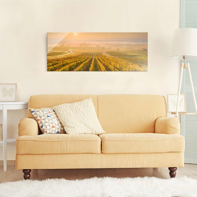 Obrazy na szkle panorama Jesienne winnice pod Wiedniem