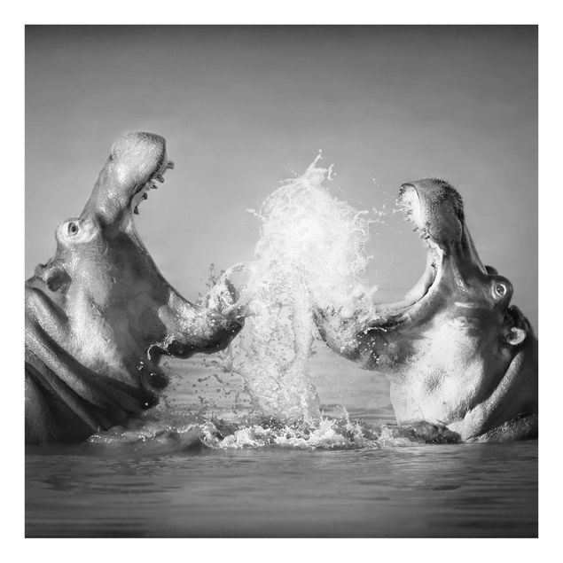 Obrazy nowoczesne Walka z hipopotamami