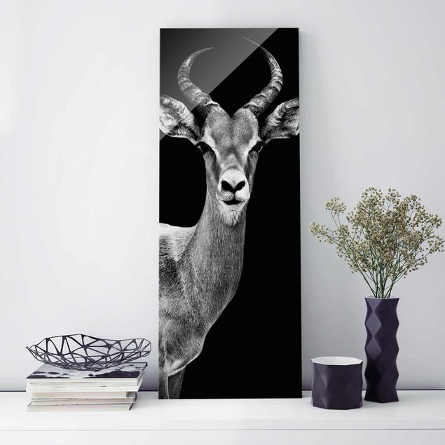 Obrazy na szkle portret Antylopa impala czarno-biała