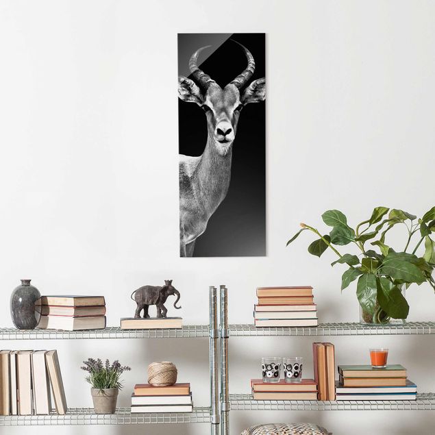 Obrazy na szkle artyści Antylopa impala czarno-biała