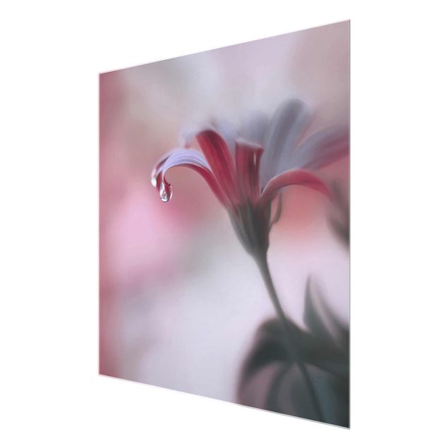 Obrazy motywy kwiatowe Niewidzialny dotyk