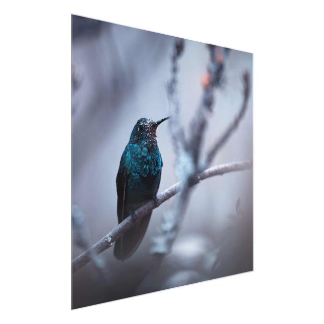 Obrazy na szkle zwierzęta Koliber w zimie