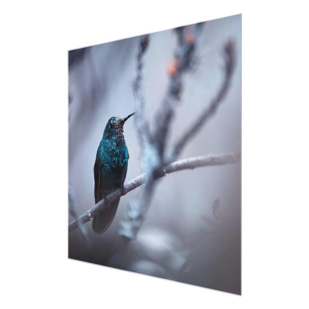 Obrazy nowoczesny Koliber w zimie