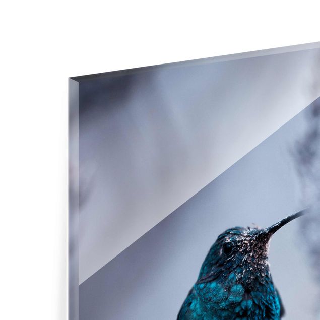 Obrazy ze zwierzętami Koliber w zimie