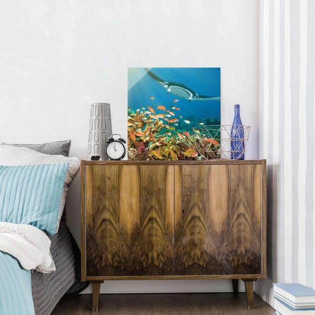 Obrazy na szkle kwadrat Refa koralowa