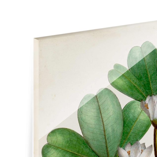 Obrazy z motywem kwiatowym Tablica poglądowa drzew liściastych III