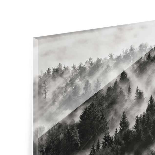 Obrazy na ścianę krajobrazy Promienie światła w lesie iglastym
