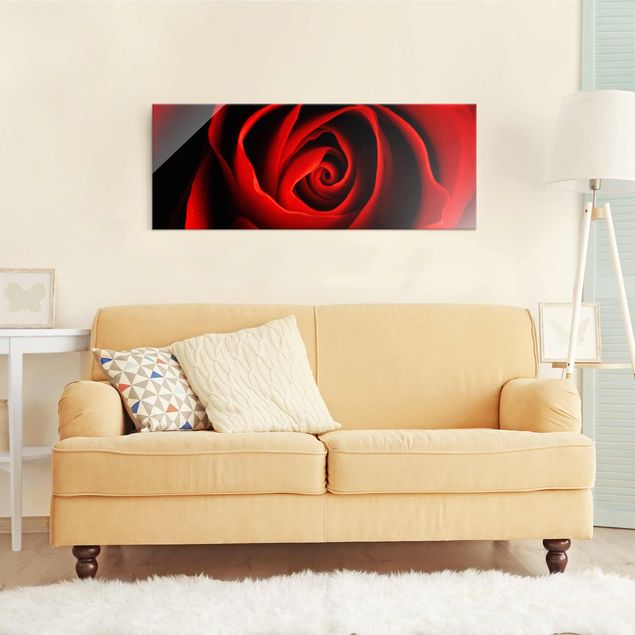 Obrazy na szkle panorama Piękna róża