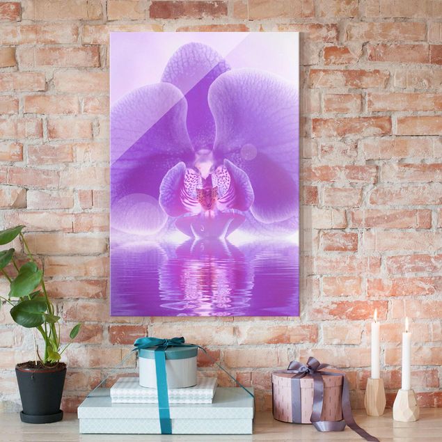 Obraz storczyk na szkle Purpurowy storczyk na wodzie