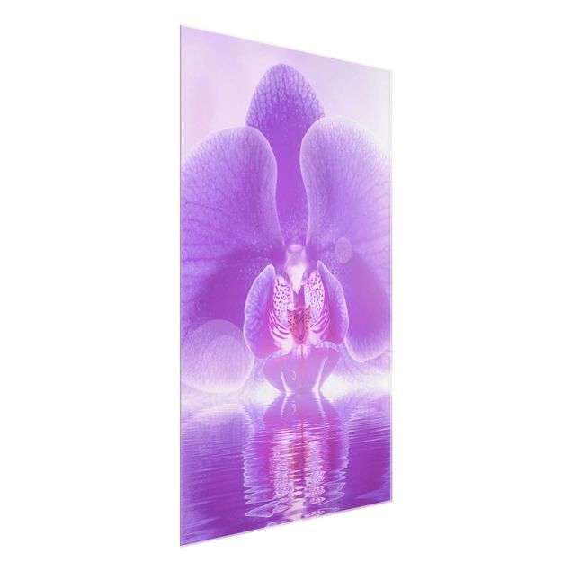 Obrazy na szkle portret Purpurowy storczyk na wodzie