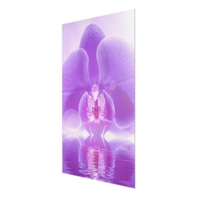 Obrazy nowoczesne Purpurowy storczyk na wodzie