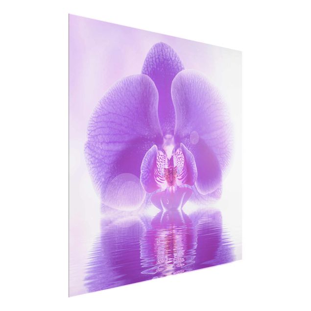 Obrazy na szkle kwadrat Purpurowy storczyk na wodzie
