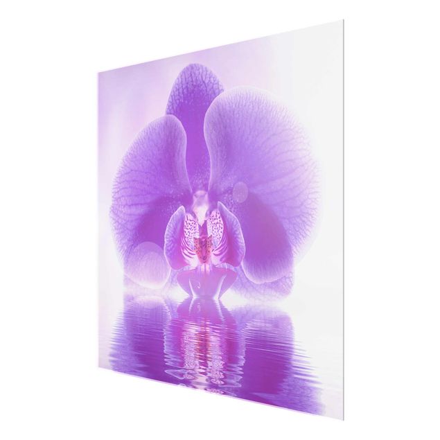 Obrazy nowoczesne Purpurowy storczyk na wodzie