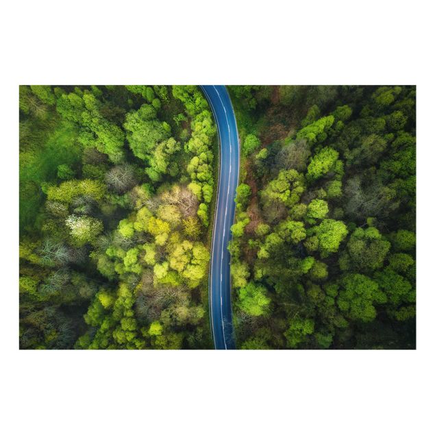 Obrazy nowoczesne Zdjęcie lotnicze - Droga asfaltowa w lesie