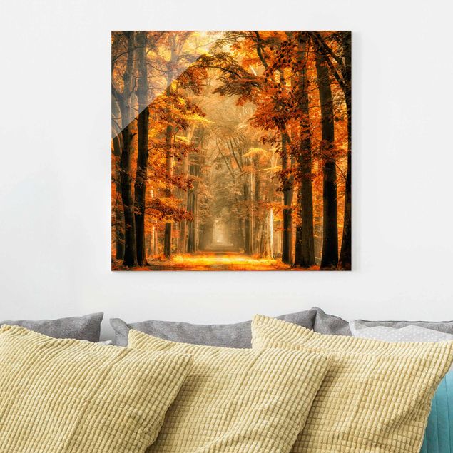 Obrazy na szkle kwadrat Bajkowy las jesienią