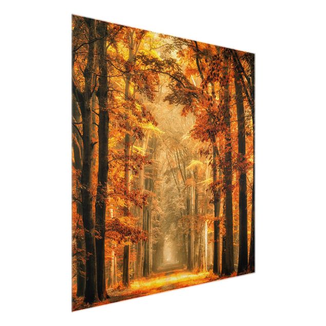 Obrazy do salonu Bajkowy las jesienią