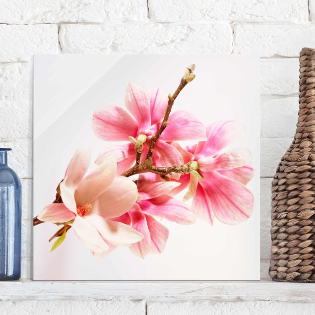 Obrazy na szkle kwadrat Kwiaty magnolii
