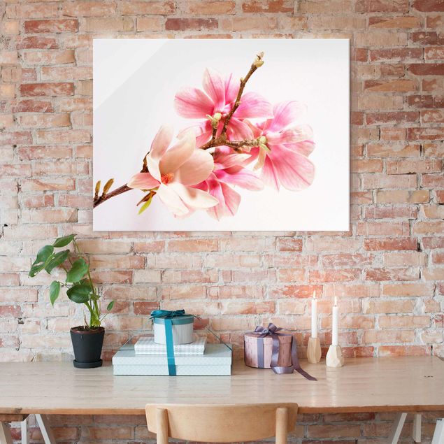 Obrazy na szkle poziomy Kwiaty magnolii