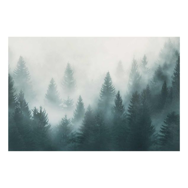Obrazy nowoczesne Las iglasty we mgle