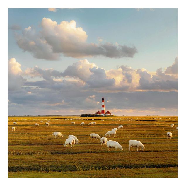 Obrazy na szkle zwierzęta Latarnia morska na Morzu Północnym ze stadem owiec