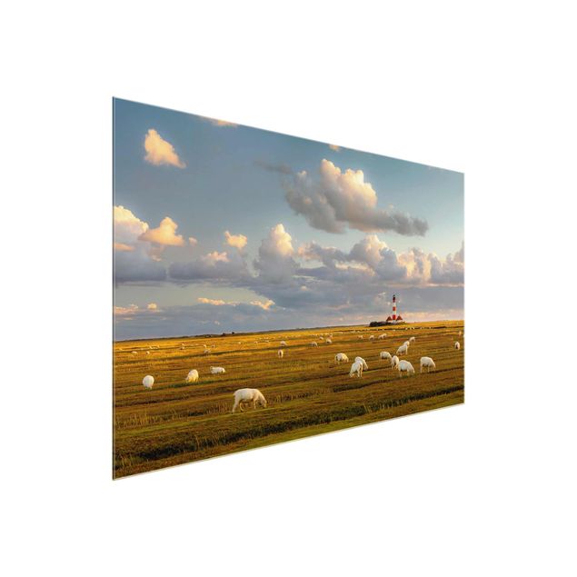 Obrazy na szkle krajobraz Latarnia morska na Morzu Północnym ze stadem owiec
