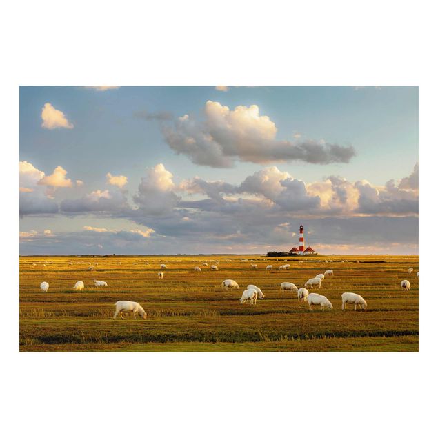 Obrazy na szkle zwierzęta Latarnia morska na Morzu Północnym ze stadem owiec