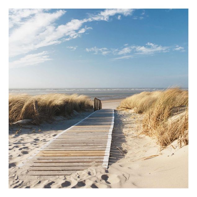 Obrazy na szkle plaża Plaża nad Morzem Bałtyckim