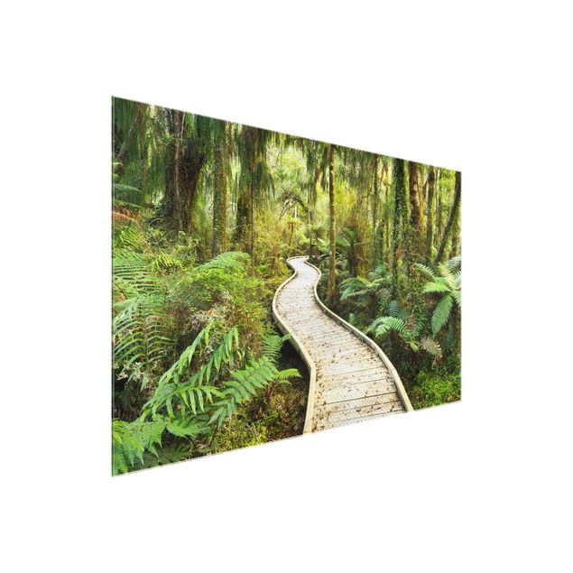 Obrazy do salonu Ścieżka w dżungli