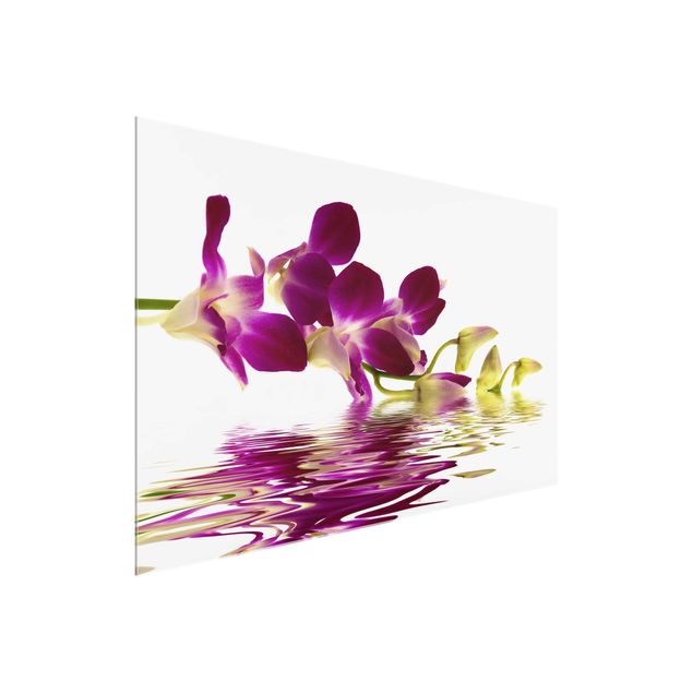 Obrazy na szkle poziomy Wody różowej orchidei