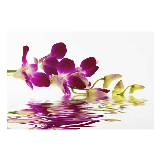Obrazy do salonu nowoczesne Wody różowej orchidei