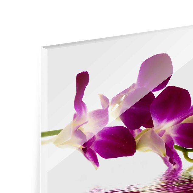 Obrazy na ścianę Wody różowej orchidei