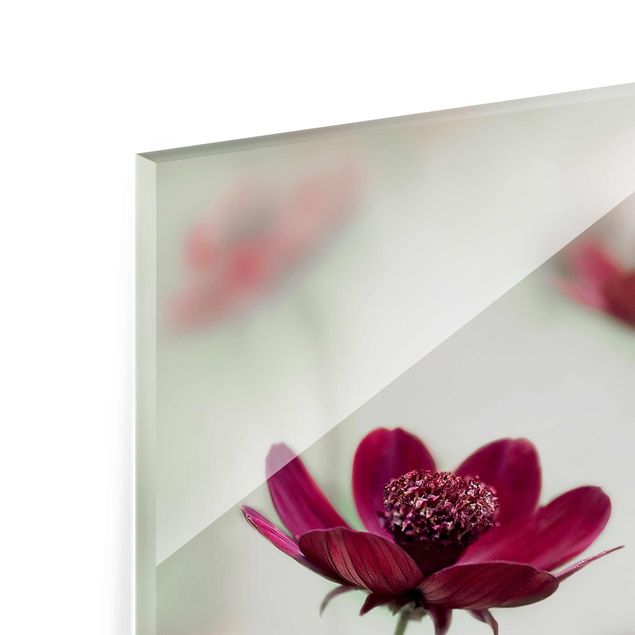 Glas Magnetboard Kosmetyki różowe