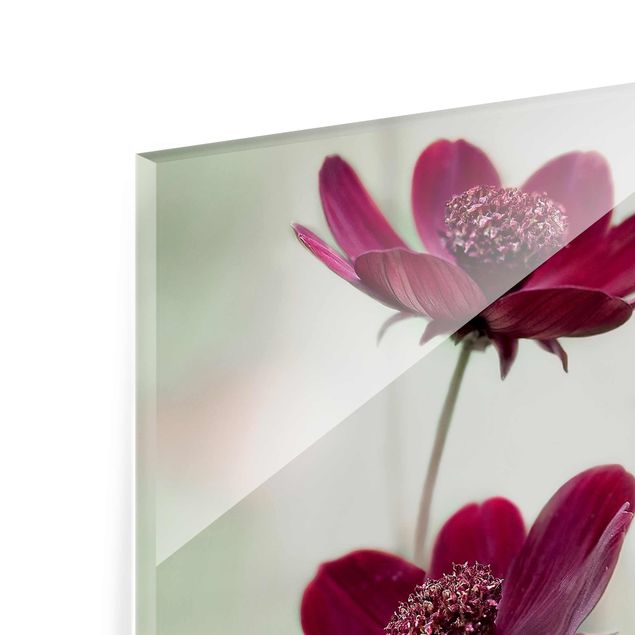 Glas Magnetboard Kosmetyki różowe