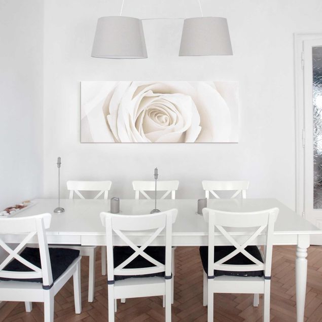Obrazy na szkle panorama Piękna biała róża