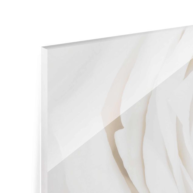 Magnettafel Glas Piękna biała róża