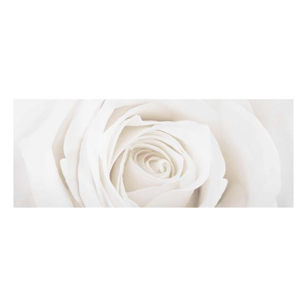Obrazy nowoczesny Piękna biała róża