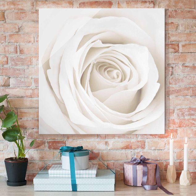 Obrazy na szkle róże Piękna biała róża