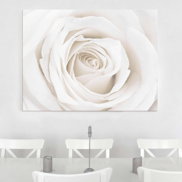 Obrazy na szkle poziomy Piękna biała róża