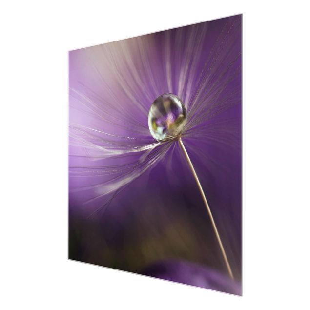 Obrazy motywy kwiatowe Mniszek lekarski w kolorze fioletowym