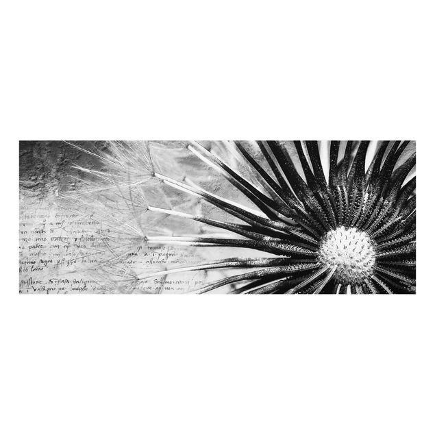 Obrazy nowoczesny Dandelion czarno-biały