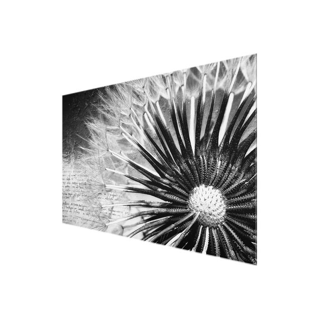 Obraz vintage Dandelion czarno-biały
