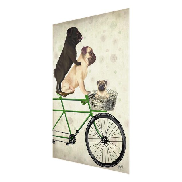 Zwierzęta obrazy Wycieczka rowerowa - Pugs on Bikes